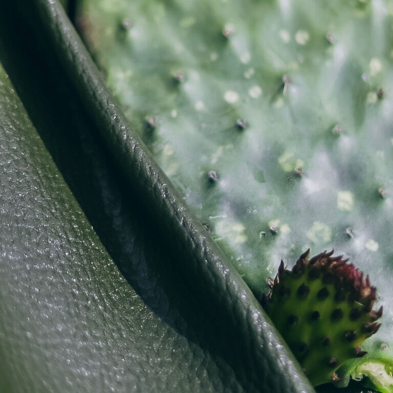 up close cactus leather and cactus